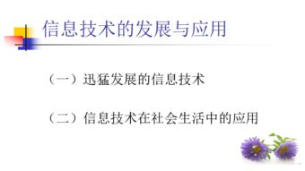 信息技術(shù)的發(fā)展與應(yīng)用 聚焦信息技術(shù)開發(fā)