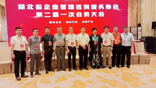 湖北省企業(yè)管理咨詢服務(wù)協(xié)會換屆,程鵬當選為會長