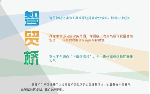 智貿(mào)橋 上線,外高橋智能服務平臺再添新翼