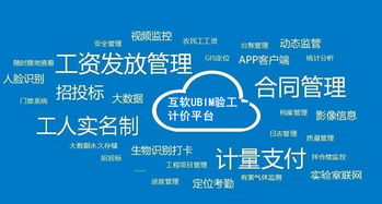 上?；ヂ摼W軟件集團 高端協同管理軟件與企業管理咨詢服務提供商